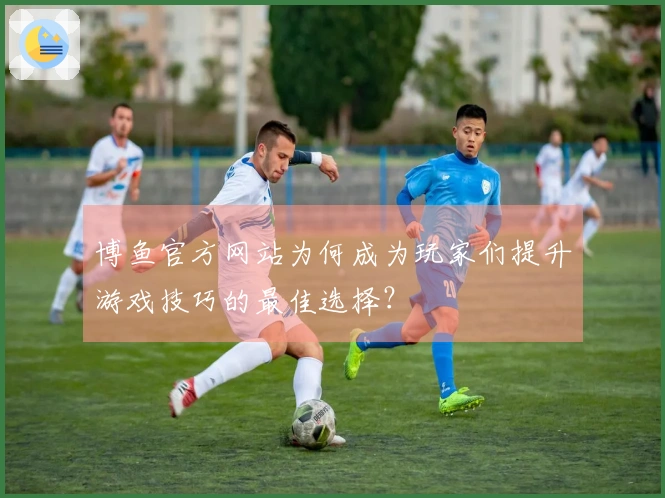 博鱼官方网站为何成为玩家们提升游戏技巧的最佳选择？